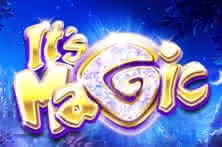 Its Magic Lily